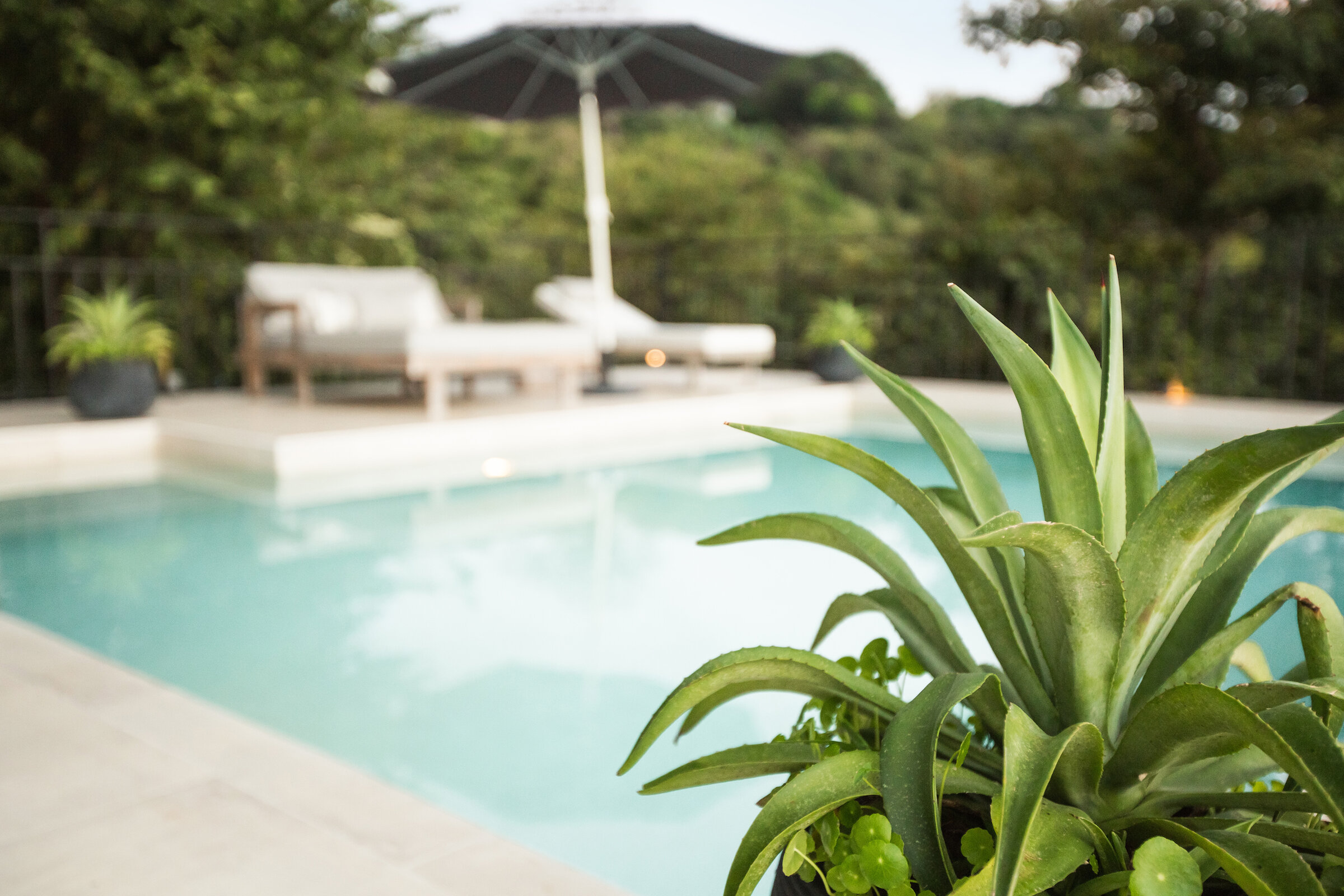 A detail from Casa Aves, a FŌKL interiors project in Costa Rica
