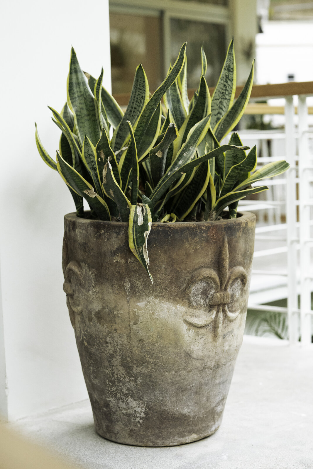 A detail from Namaste Oasis, a FŌKL interiors project in Costa Rica