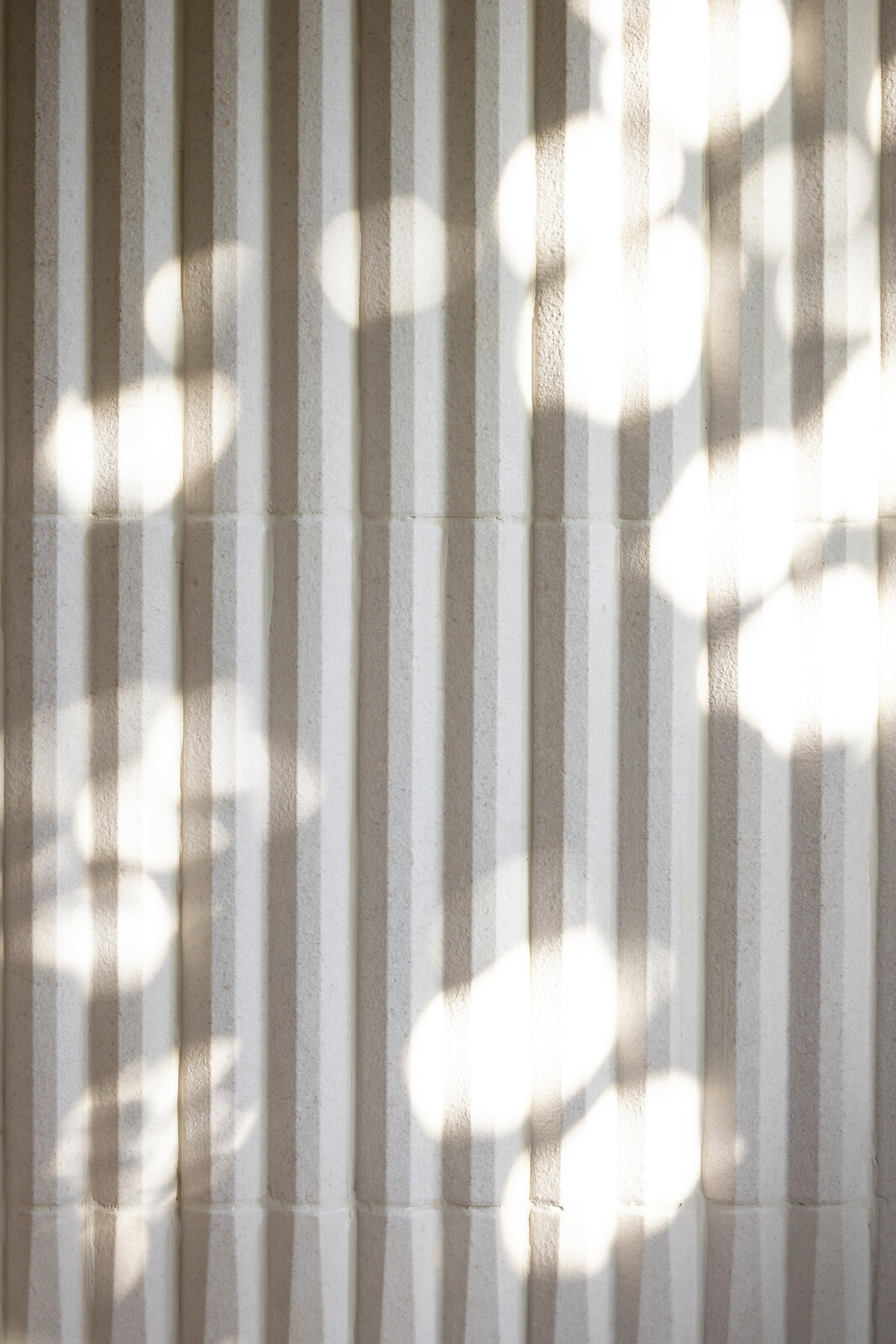Casa Liza — detail